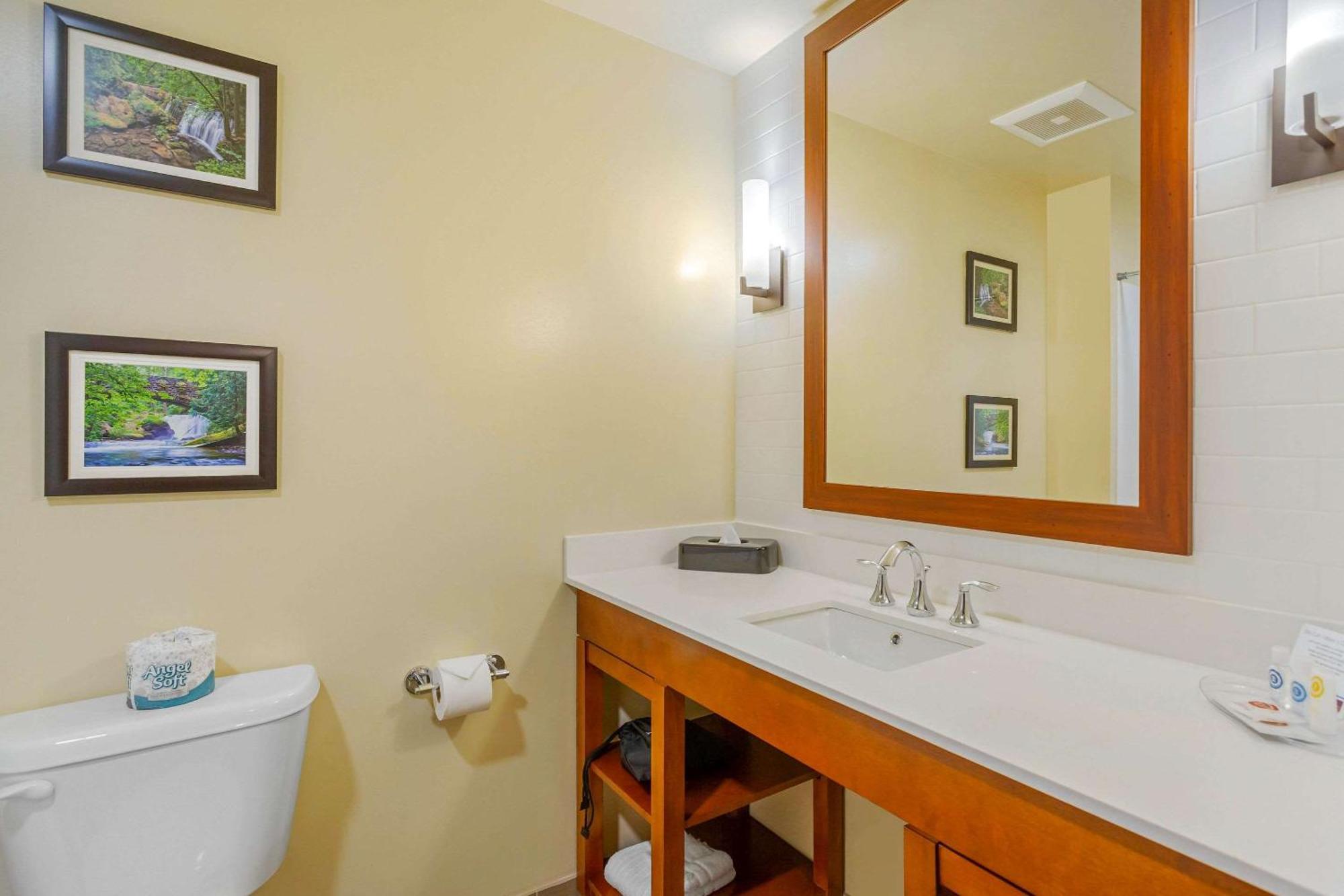 Comfort Suites Burlington Near I-5 Dış mekan fotoğraf